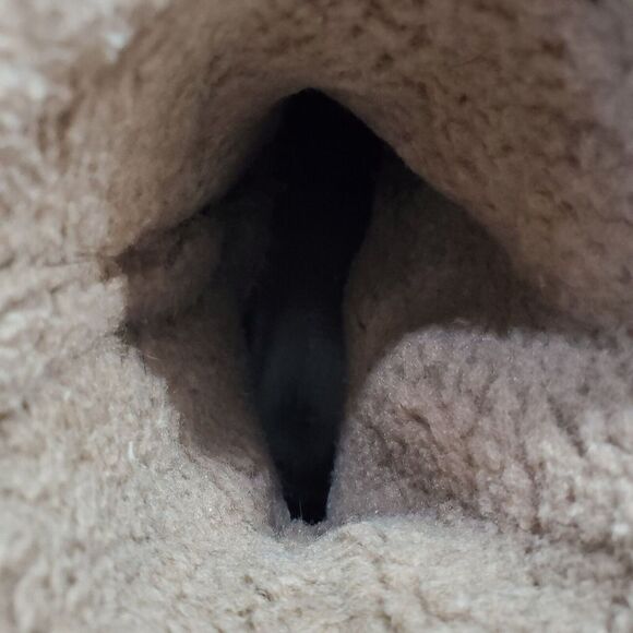 White Mountain Ankle Boots Womens Size 6 Brown Leather Shearling Side Zip - Picture 8 of 16